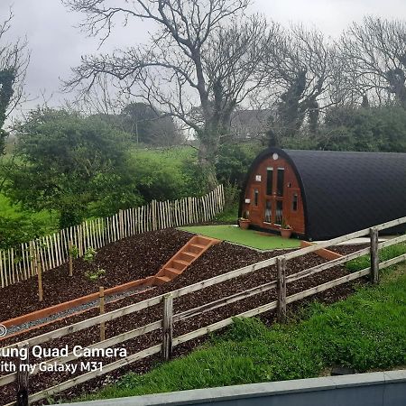 Ivy Hill Glamping Pod Apartment Ennis Luaran gambar
