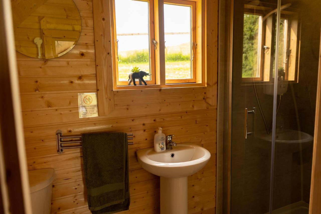 Ivy Hill Glamping Pod Apartment Ennis Luaran gambar
